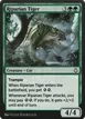 Riparian Tiger #178