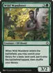 Wild Wanderer #186