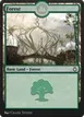 Forest #299