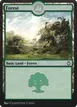 Forest #300