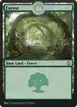 Forest #301