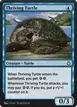 Thriving Turtle #69