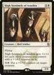 High Sentinels of Arashin #13