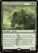 Meandering Towershell #141