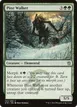 Pine Walker #143