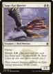 Sage-Eye Harrier #20