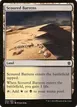 Scoured Barrens #242