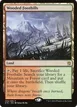 Wooded Foothills #249