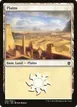 Plains #252