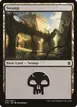 Swamp #259