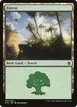 Forest #266