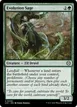 Evolution Sage #240
