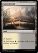 Tainted Field #356