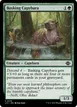 Basking Capybara #175
