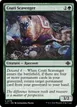 Coati Scavenger #179