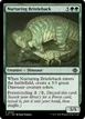 Nurturing Bristleback #203