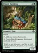 Poison Dart Frog #207