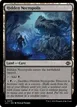 Hidden Necropolis #275