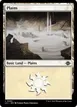 Plains #393