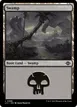 Swamp #398