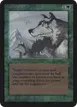 Aspect of Wolf #184