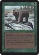 Grizzly Bears #199