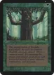 Ironroot Treefolk #203