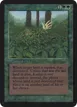 Kudzu #204