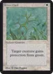 Green Ward #20