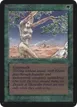 Shanodin Dryads #216