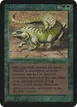 Thicket Basilisk #218