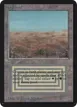 Scrubland #281