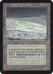Tundra #284