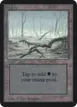 Swamp #290