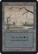 Swamp #291