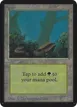 Forest #294