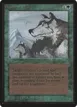 Aspect of Wolf #185
