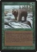 Grizzly Bears #200