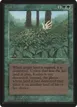 Kudzu #205