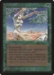 Shanodin Dryads #217