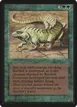 Thicket Basilisk #219