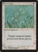 Green Ward #21