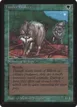 Timber Wolves #220