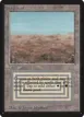 Scrubland #282