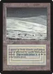 Tundra #285