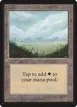Plains #288