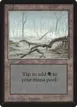 Swamp #294