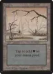 Swamp #295