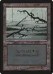 Swamp #296