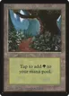Forest #301